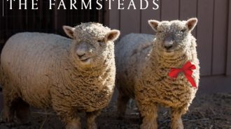 ONX Wines hosting free holiday event