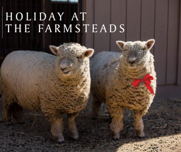 ONX Wines hosting free holiday event