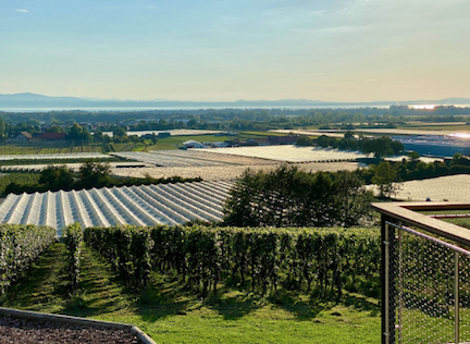 tiffanywagner@authorleague.org