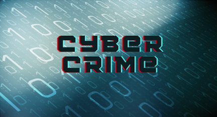 kimber.patel@worldreachseo.com