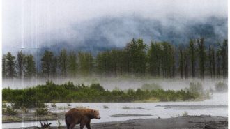 Photography display in the library showcases Alaska's scenery and wildlife