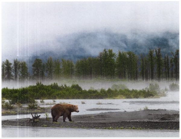Photography display in the library showcases Alaska's scenery and wildlife