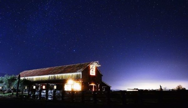 christmas at the ranch