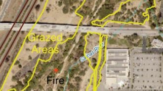 riverbed fire paso robles nov. 9