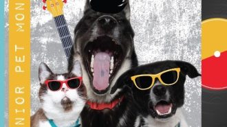 Humane society offering adoption special during November