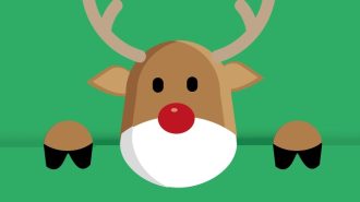 reindeer run