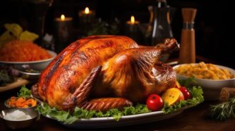 thanksgiving dinner stock pic