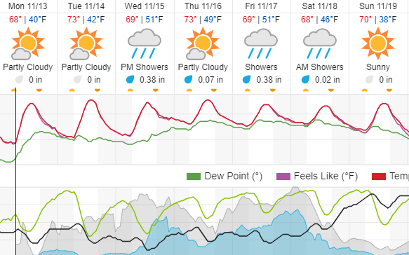 weather forecast