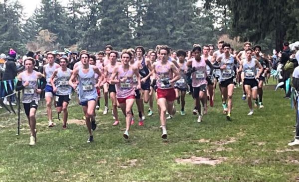 Templeton's Josh Bell finishes 8th at Nike Cross Nationals