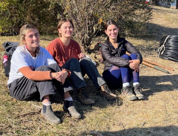 Local winery installs Monarch Butterfly refuge
