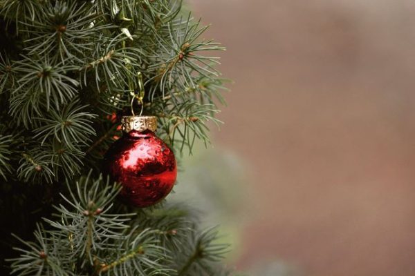 christmas tree stock image