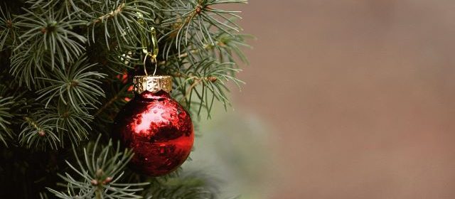 how to recycle christmas tree north county