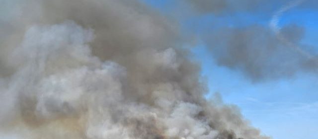 Cal Fire conducting prescribed burn in South County today