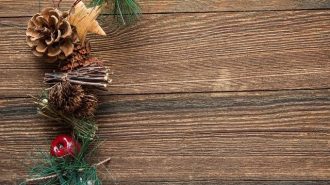 Opinion: ‘Twas the Night Before Christmas for Paso People’s Action
