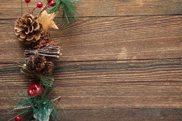 Opinion: ‘Twas the Night Before Christmas for Paso People’s Action