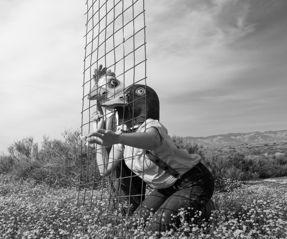 Studios on the Park welcomes Celeste Hope's 'Monochrome Memoir' exhibit