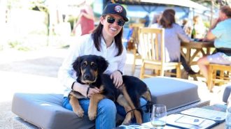 Wine 4 Paws to return this year with new events