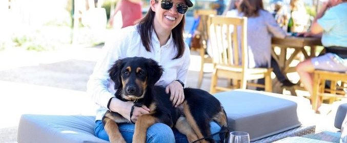 Wine 4 Paws to return this year with new events