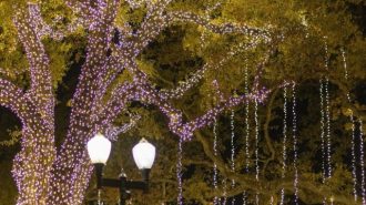holiday lights paso robles