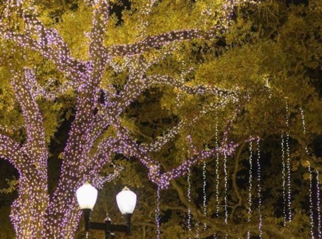 updated holiday lights paso robles