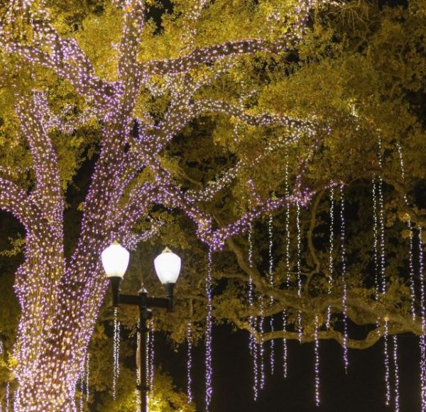 holiday lights paso robles