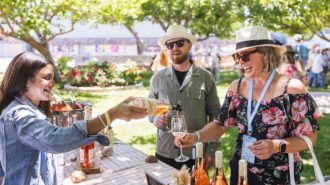 paso wine fest image
