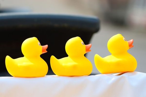 Explore the world with rubber ducks from the Paso Robles City Library