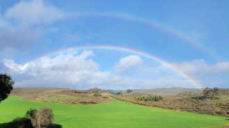 rainbow in templeton