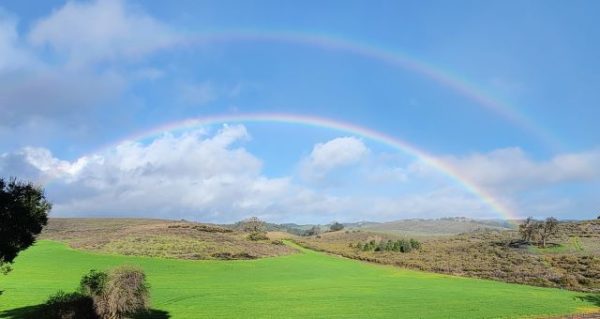 rainbow in templeton