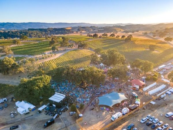 whale rock lineup announced