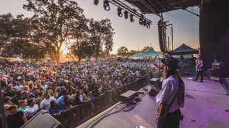 whale rock lineup announced