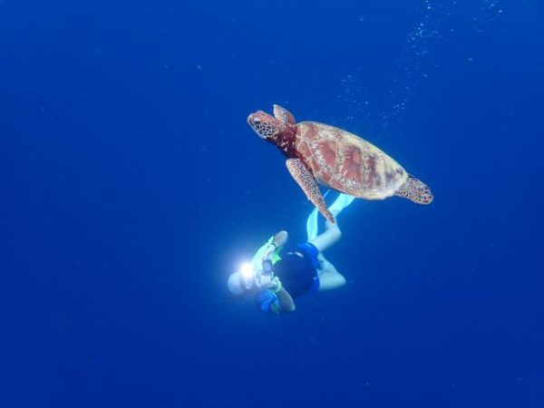 dale evers underwater photography
