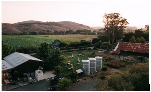 Local winemaker purchases additional North Coast acreage