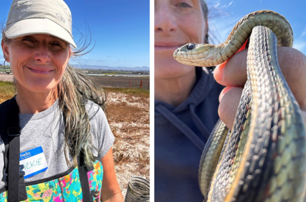 Fort Hunter Liggett spotlights wildlife biologist