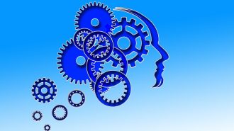Free 'Lunch and Learn' event at the library to focus on brain health
