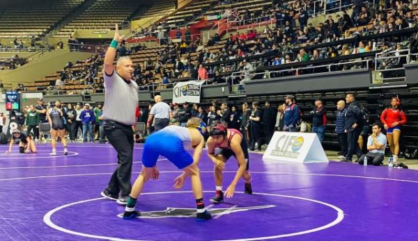 Bearcat wrestler qualifies for state