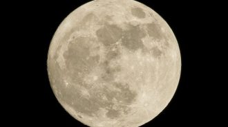 Paso Robles compost used in lunar tests
