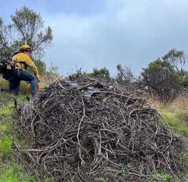pile burning operations north SLO county