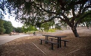 Centennial Park trail to close for maintenance work