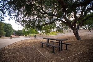 Centennial Park trail to close for maintenance work
