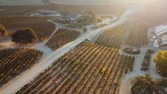 Virtual wine auction launches March 11