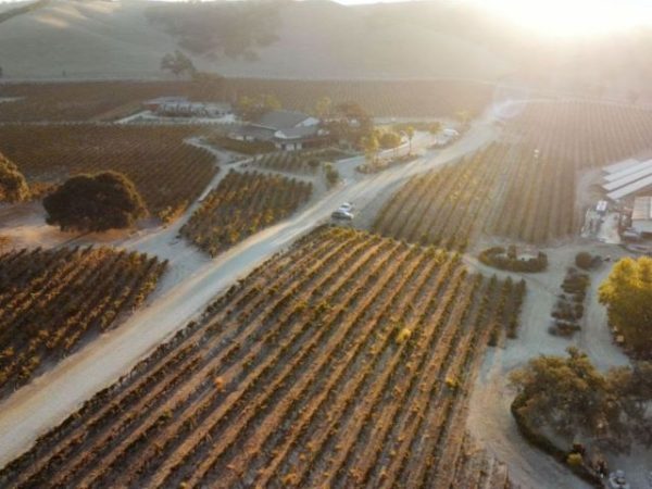 Virtual wine auction launches March 11