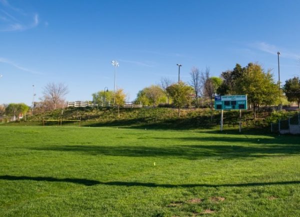 Barney Schwartz Park soccer field renovations underway