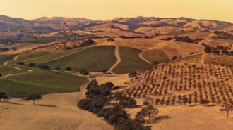 wild horse winery sold