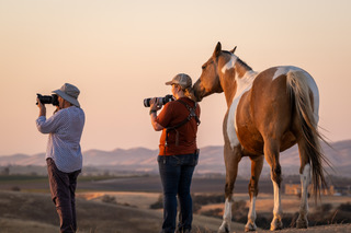 Learn horse photography techniques at upcoming workshop