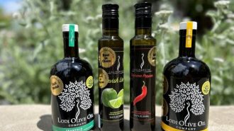 Central Coast Olive Oil Competition names 2024 winners