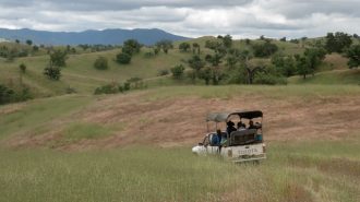 Conservation easement safeguards 27,512-acre working ranch