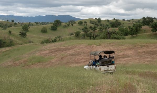Conservation easement safeguards 27,512-acre working ranch
