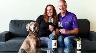 Dracaena Wines