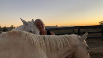 Local horse sanctuary unveils new immersive tour experience